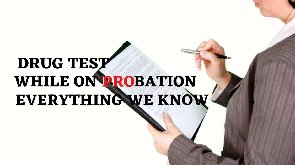 Drug Test While On Probation Everything We Know