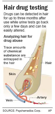 Hair Drug Testing Instructions