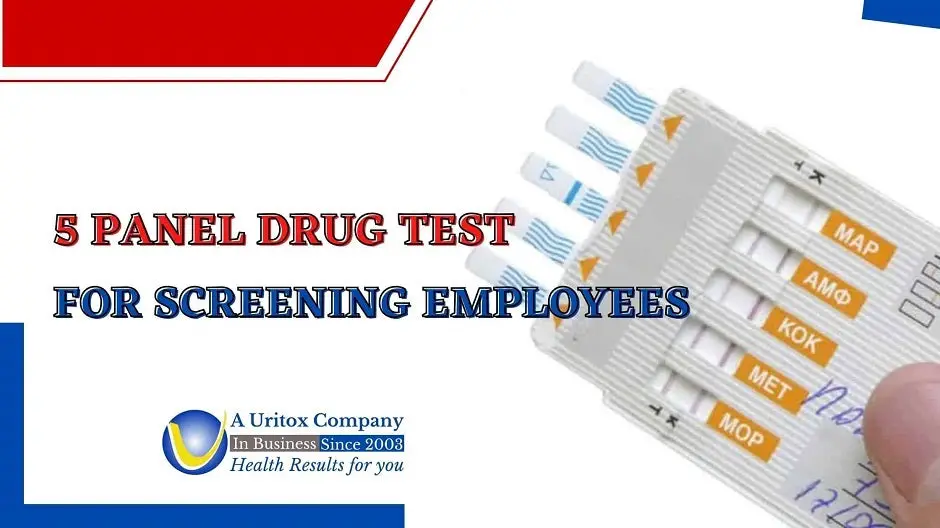 5 Panel Drug Test for Employee Screening