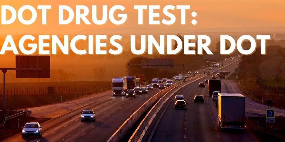 DOT Drug Testing: Agencies Under DOT