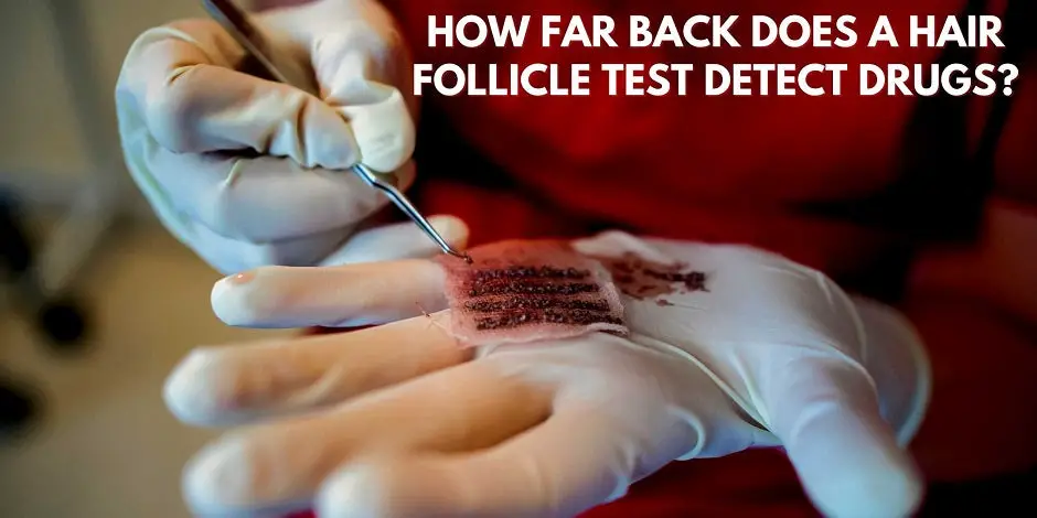How Far Back Does A Hair Follicle Test Detect Drugs?