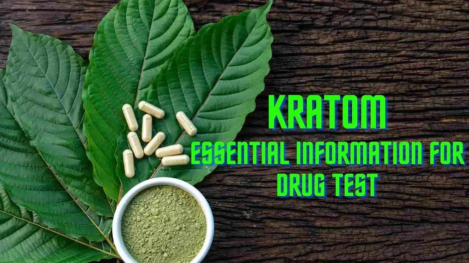 Kratom: Essential Information For Drug Test