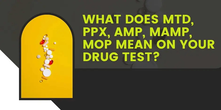 What Does MTD, PPX, AMP, MAMP, MOP Mean On Your Drug Test?