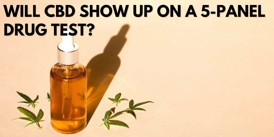 Does CBD Show Up In A 5-Panel Drug Test?