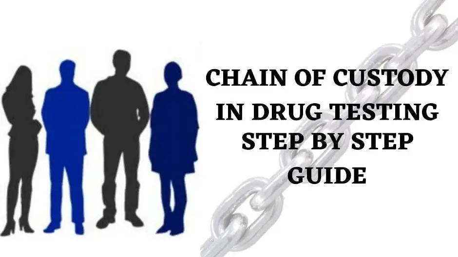 Chain Of Custody In Drug Testing: Step by Step Guide