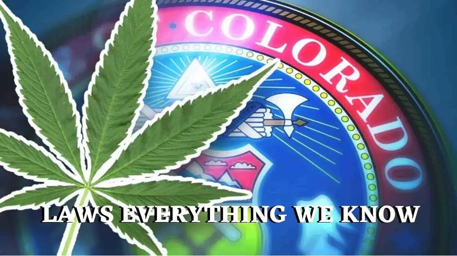 Colorado Marijuana Laws: Everything We Know