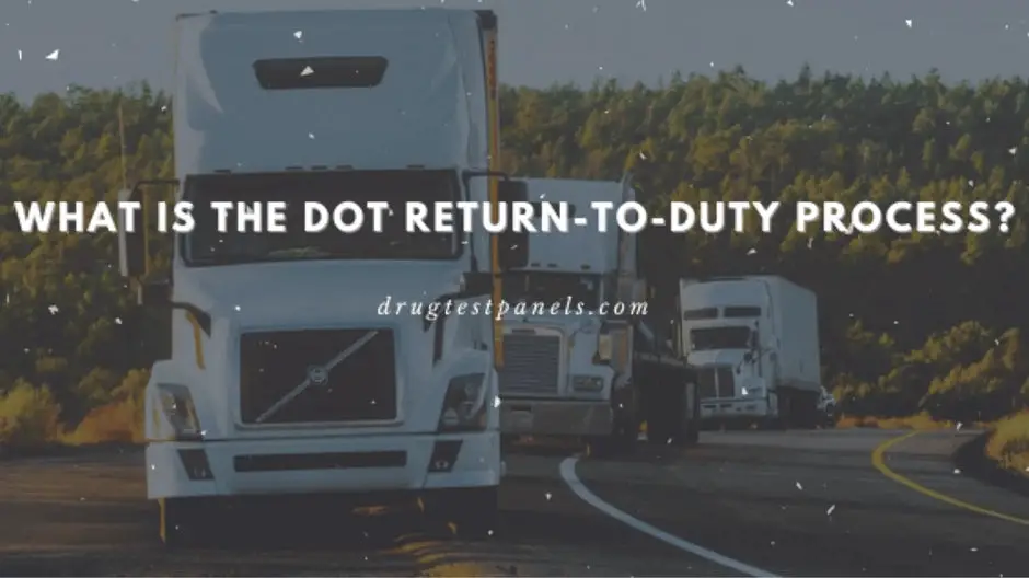 What Is The DOT Return To Duty Process?