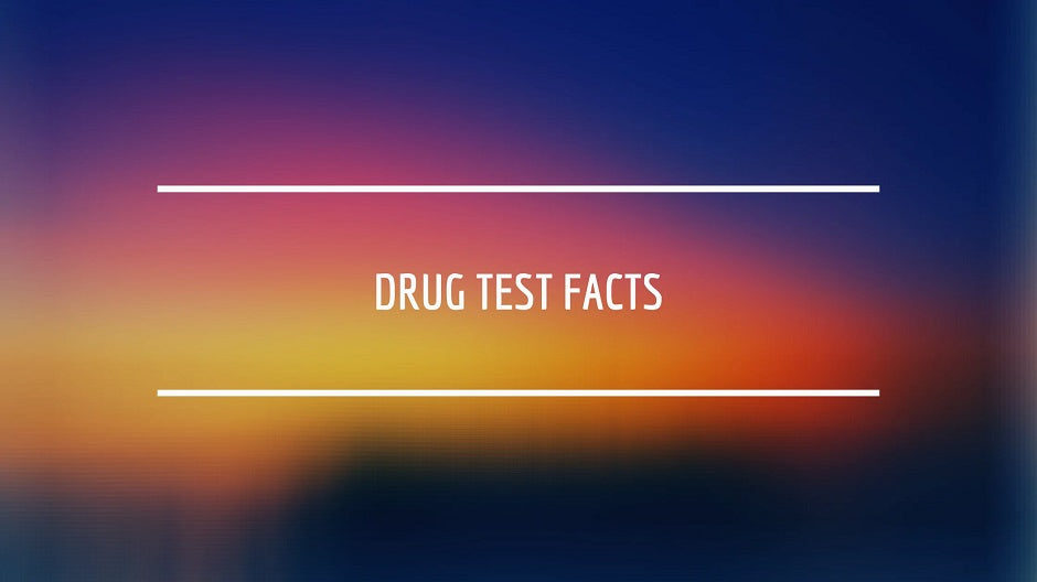 Drug Test Facts: Everything You Need To Know Drug Testing