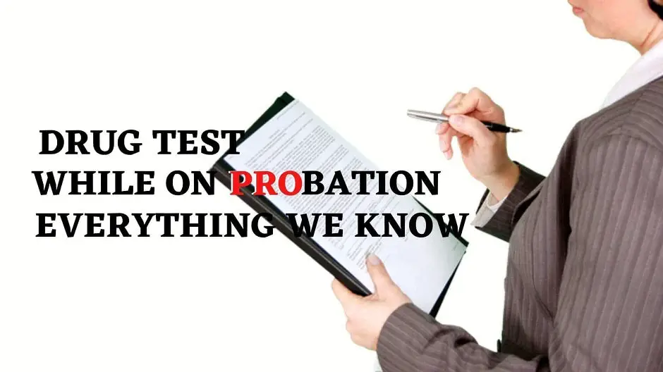 Drug Test While On Probation: Everything We Know