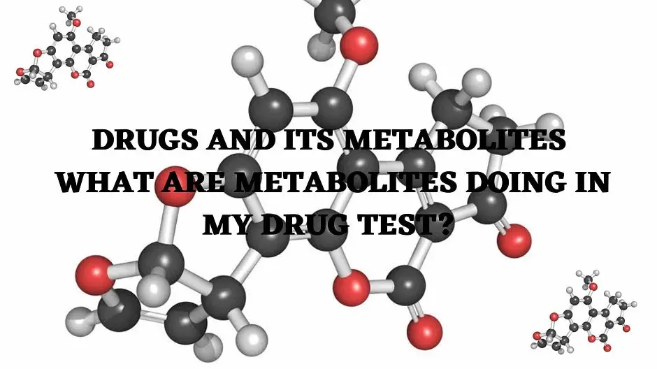 Drugs And Its Metabolites: What Are Metabolites Doing In My Drug Test?