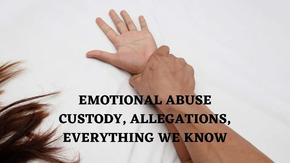 Emotional abuse: Custody, Allegations, Everything We Know