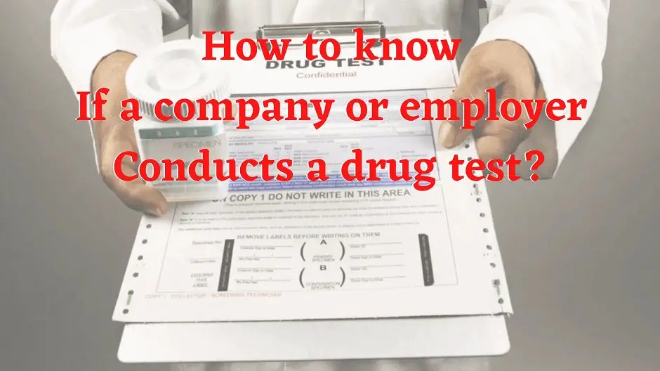 How To Know If A Company Or Employer Conducts A Drug Test?