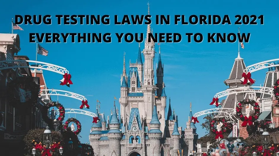 Drug Testing Laws In Florida: Everything We Know!