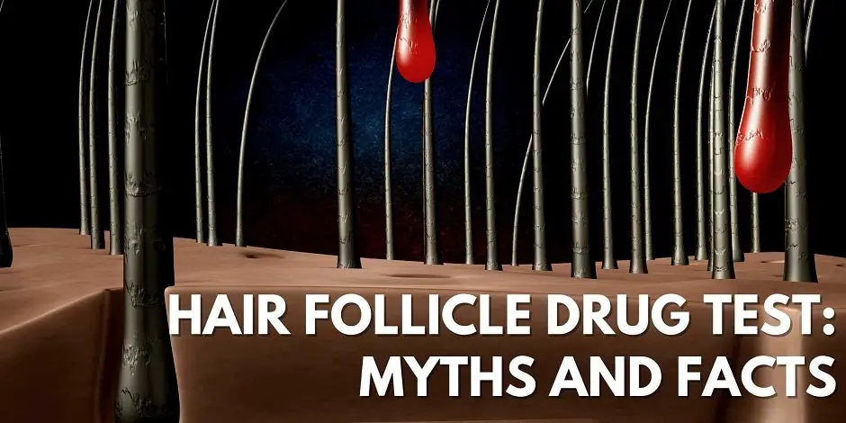 Hair Follicle Drug Test: Myths and Facts