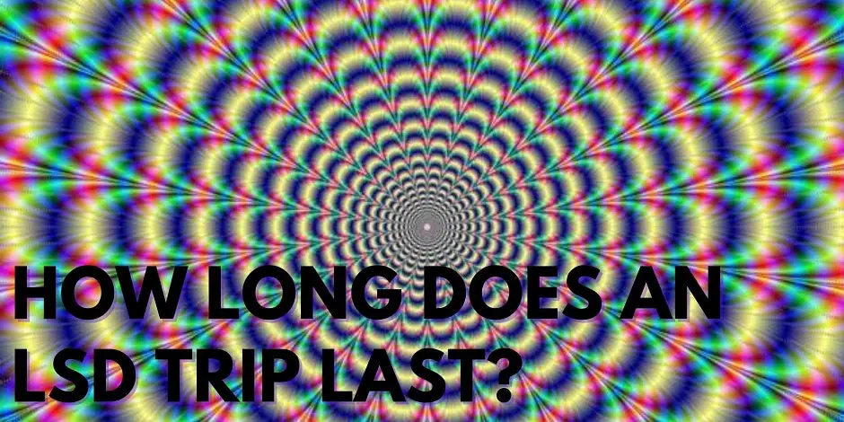 How Long Does An LSD Trip Last?