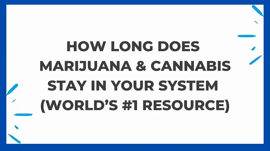How Long Does Marijuana and Cannabis Stay in Your System? (World’s #1 Resource)