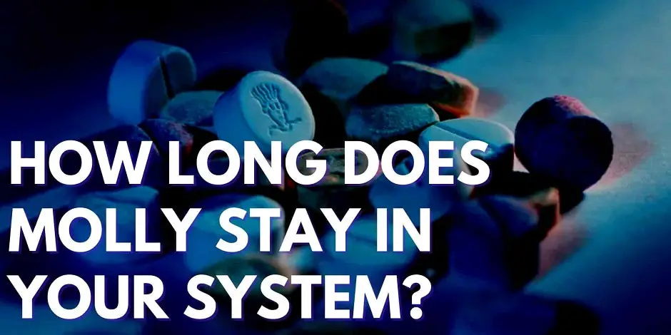 How Long Does Molly Stay In Your System?
