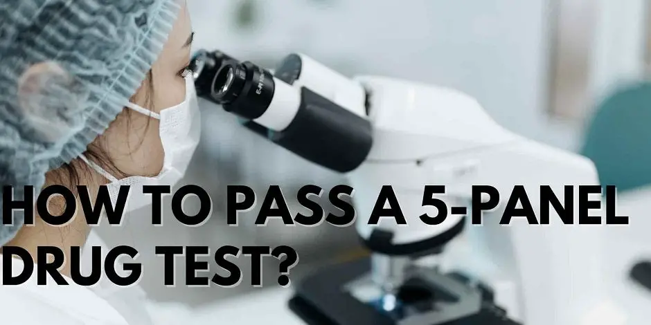 How To Pass A 5-Panel Drug Test?