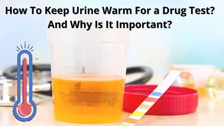 How To Keep Urine Warm For a Drug Test? And Why Is It Important?