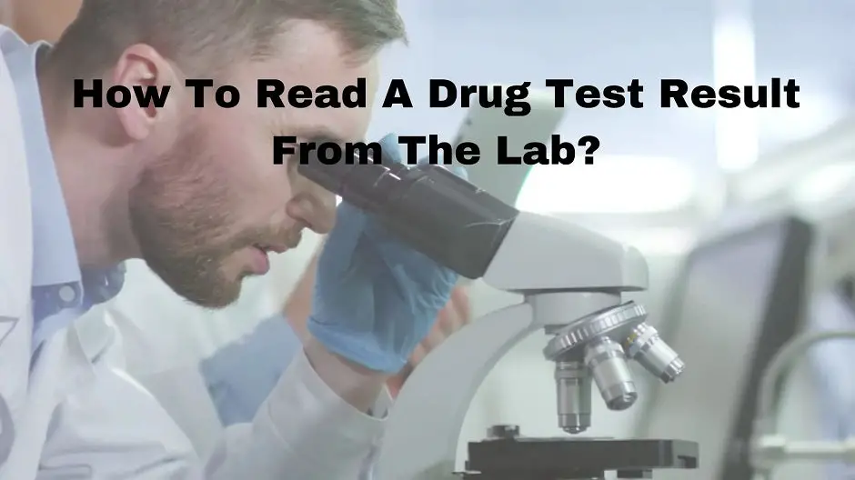 How To Read A Drug Test Result From The Lab?