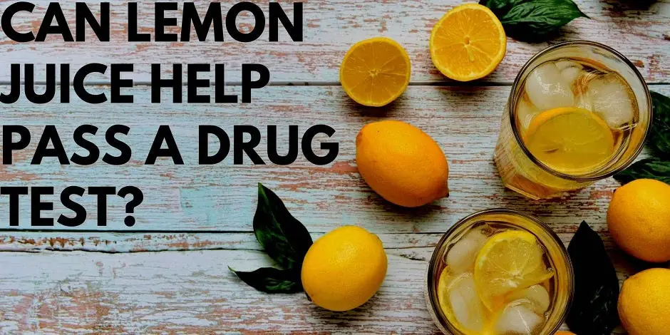 Can Lemon Juice Help Pass A Drug Test?