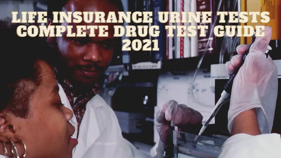 Life Insurance Urine Tests: Complete Drug Testing Guide