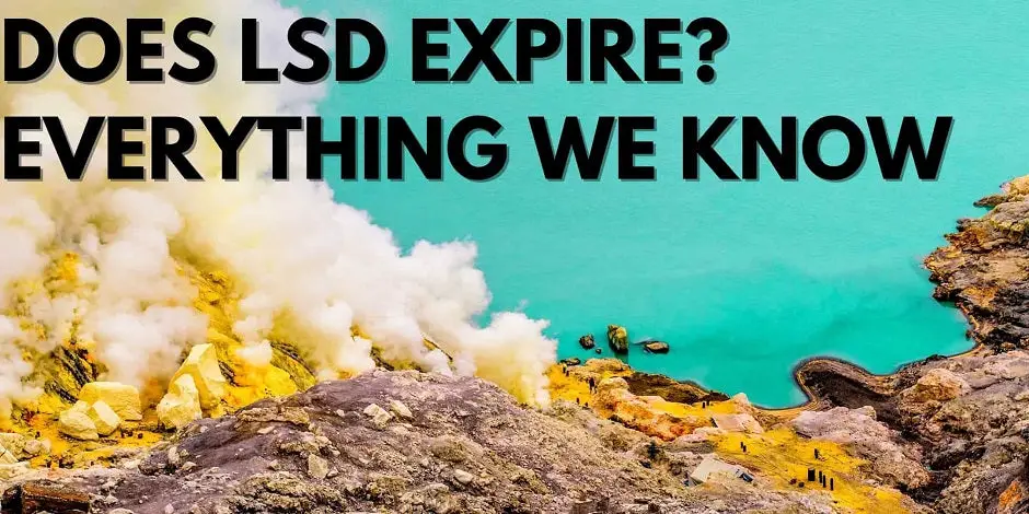 Does LSD Expire? Everything We Know