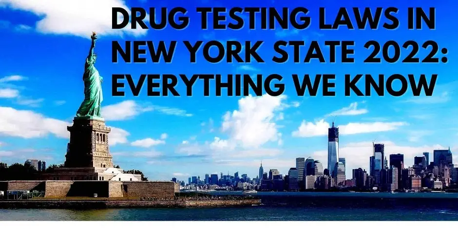 New York Drug Testing Laws 2022: Everything We Know