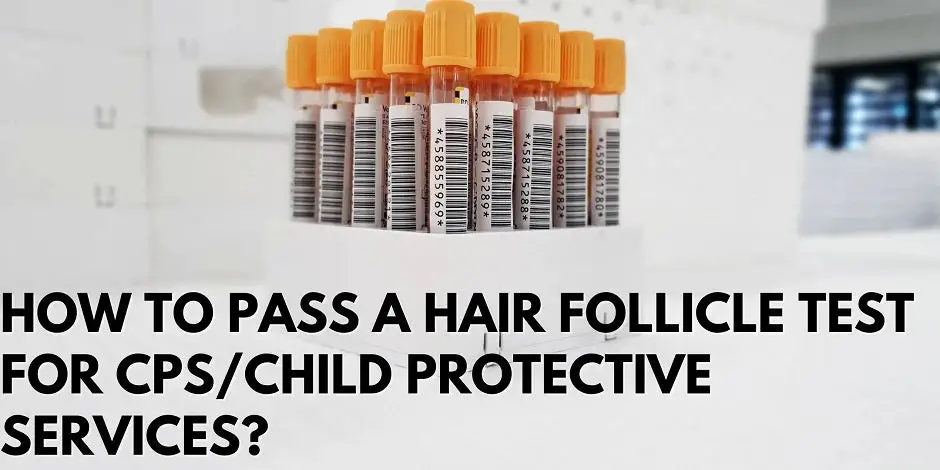 How To Pass A Hair Follicle Test For CPS/Child Protective Services?
