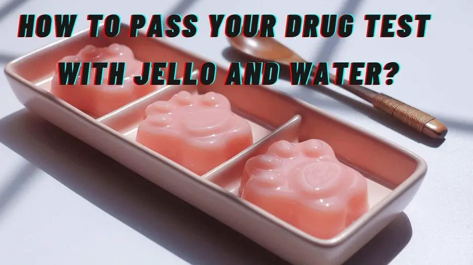 How To Pass A Drug Test With Jello And Water?