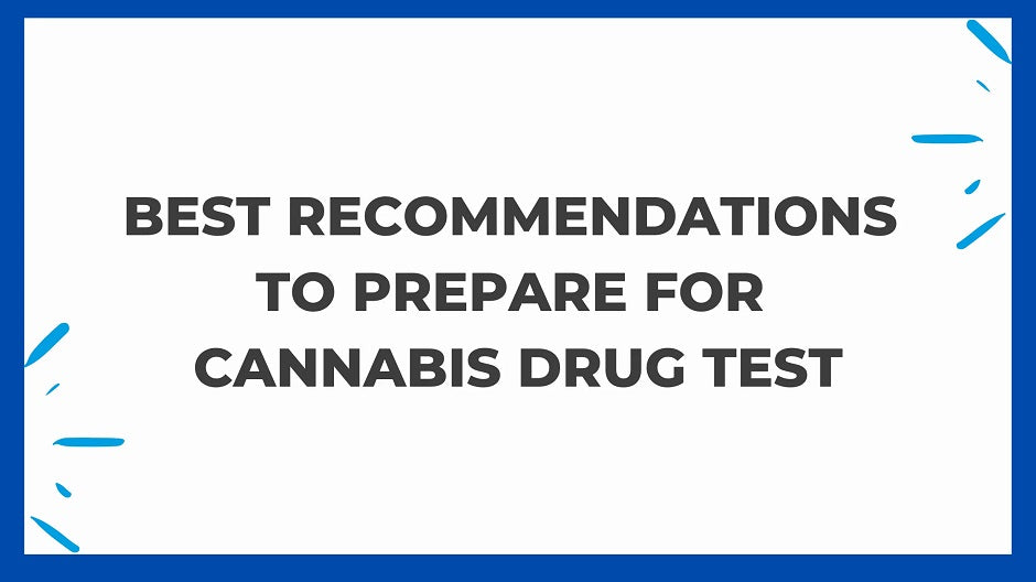 Best Recommendations To Prepare For A Cannabis Drug Test