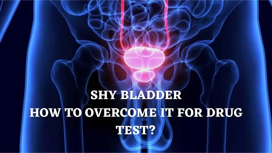 Shy Bladder: How To Overcome It For Drug Test?