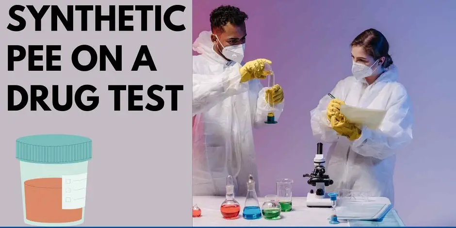 Synthetic Pee On A Drug Test