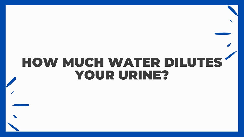 How Much Water Dilutes Your Urine?